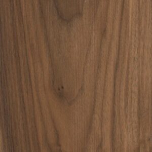 Frontier Plus by Shaw Floors - Modern Classic