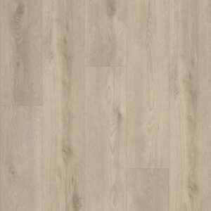 Paladin Plus by Shaw Floors - Soft Beige