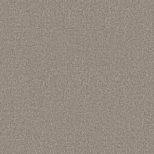 AFFIRMATION II by Shaw Floors - Vintage Pewter