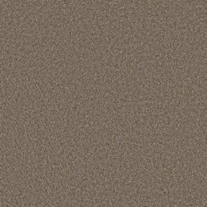 SOFT RADIANCE by Shaw Floors - Mocha Latte'