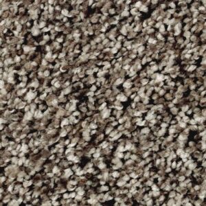 Softly Elegant I by Mohawk - Sand Dollar