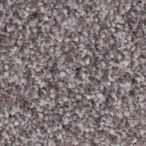 Soft Comfort by Mohawk - Gravel Path