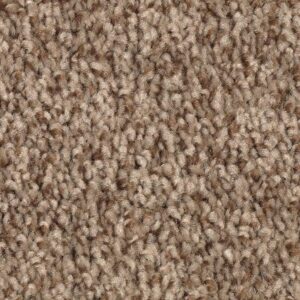 Tonal Chic II by Mohawk - Desert Crackle