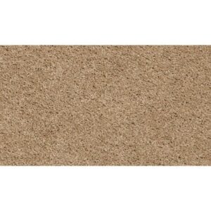 Pleasant Touch by Mohawk - Stonington Beige