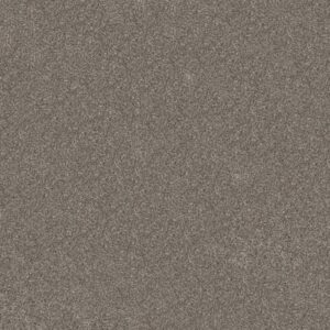 ELEVATED II by Shaw Floors - Coffee
