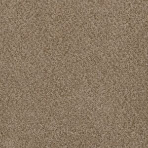 SP251 by Dreamweaver - Sandlot 753