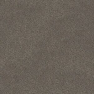 CANYON LAKE by Shaw Floors - Slate