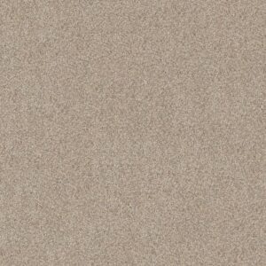 CANYON LAKE by Shaw Floors - Snowfall
