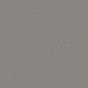 CLEVER BLEND by Shaw Floors - Vintage