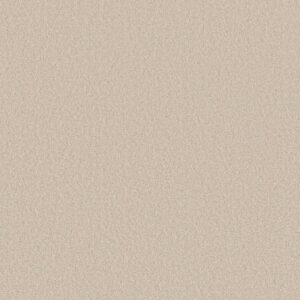 LAS CRUCES by Shaw Floors - Zurich