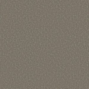 CLEVER CHOICE by Shaw Floors - Fallen Acorn