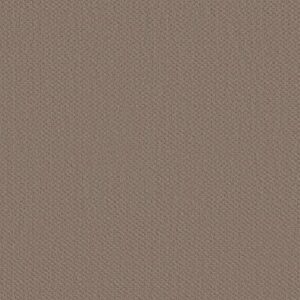 AUSTIN PARK by Shaw Floors - Pure Earth