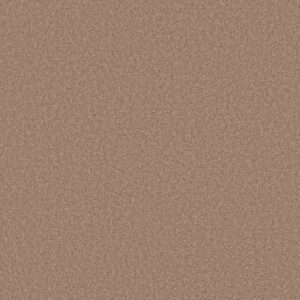 LAS CRUCES by Shaw Floors - Copper Moon