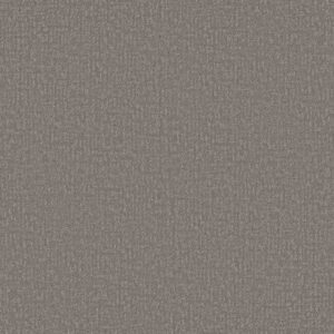 CLEVER DESIGN by Shaw Floors - Lunar Haze
