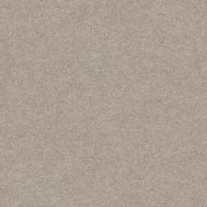 DEL RIO II by Shaw Floors - Baltic Stone