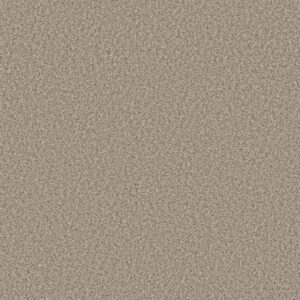 PRESCOTT VALLEY by Shaw Floors - Spun Cotton