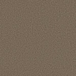 PRESCOTT VALLEY by Shaw Floors - Joshua Tree