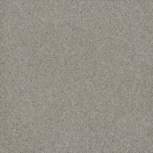 NO LIMITS I by Dreamweaver - Beach Sand 4064