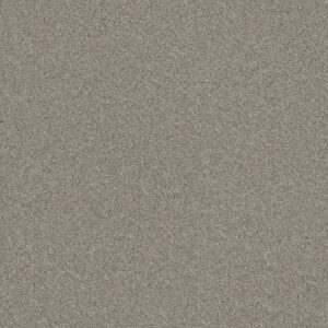 BLAZER II by Dreamweaver - Antique Fresco 6076
