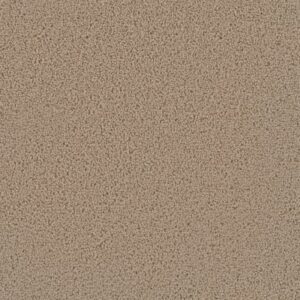 FIRST STEP by Dreamweaver - Satinwood 555