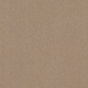 SOLIDIFY III 15' by Shaw Floors - Raw Lumber