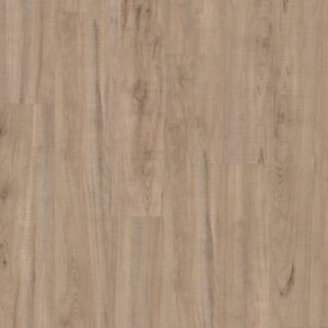 Synthesis by Shaw Floors - Medley