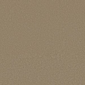 WAY TO GO II by Shaw Floors - Hidden Treasure