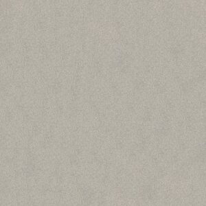 TONAL COMFORT I by Shaw Floors - Restful Day
