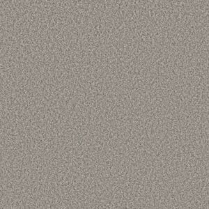 TWEED COMFORT II by Shaw Floors - Make A Splash
