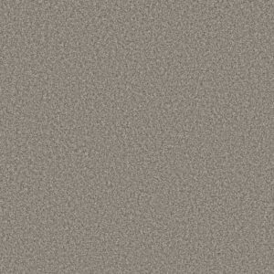 TWEED COMFORT I by Shaw Floors - Island Tour