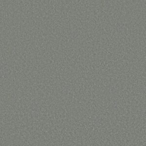WAY TO GO I by Shaw Floors - Dolphin Fin