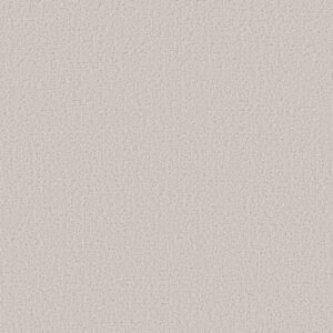 CANVAS COMFORT by Shaw Floors - Neighborhood Bistro