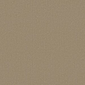CANVAS COMFORT by Shaw Floors - Honey Tea