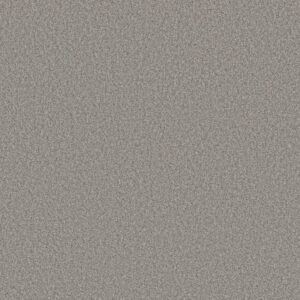 TONAL COMFORT BLUE by Shaw Floors - Sunday Stroll