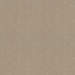 TONAL COMFORT BLUE by Shaw Floors - Dinner With Friends