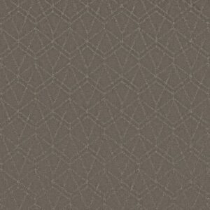 POINT OF VIEW by Shaw Floors - Ashes