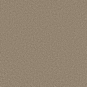 FEELIN' ALRIGHT by Shaw Floors - Blond Wood