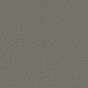 RENEWED ENERGY I by Shaw Floors - Paris Sky