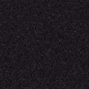 YOUR COMFORT II by Shaw Floors - Movie Night