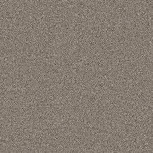 ALWAYS RIGHT II by Shaw Floors - Graphite