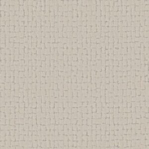 BLOCK PARTY by Shaw Floors - Snowfall