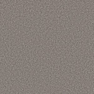 REMIXED CLASSIC by Shaw Floors - Mineral
