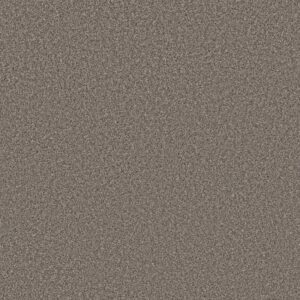 NEW ATTITUDE by Shaw Floors - Pier