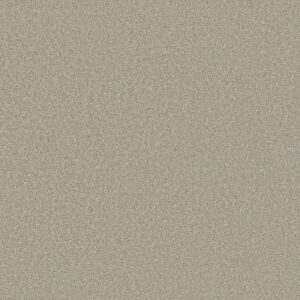 TRUSOLUTIONS I by Shaw Floors - Bleached Oak