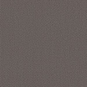 PERSPECTIVE PATH by Shaw Floors - Darkroom