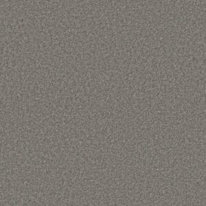 ULTRA LUSH by Shaw Floors - Imagination
