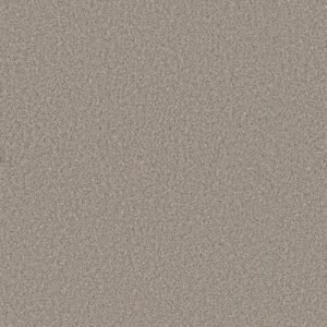 BEST YET by Shaw Floors - Lady Liberty
