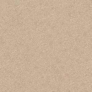 YOUR COMFORT I by Shaw Floors - Walk On The Beach