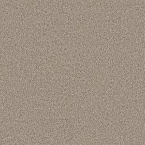 RENEWED ENERGY II by Shaw Floors - Sandstone