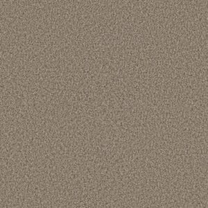 RENEWED ENERGY II by Shaw Floors - Khaki